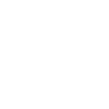 Information Security logo